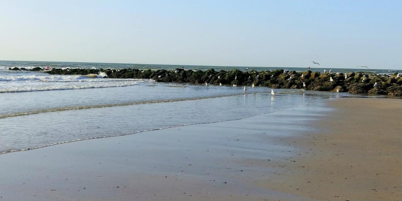 Sunny Bank Westende Zeezicht Middelkerke Ngoại thất bức ảnh